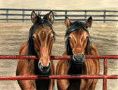 Standardbred, Equine Art - Spring Scruffies